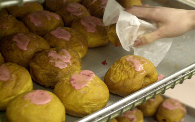 Eat! Eat your Paczki! It’s Fat Tuesday!