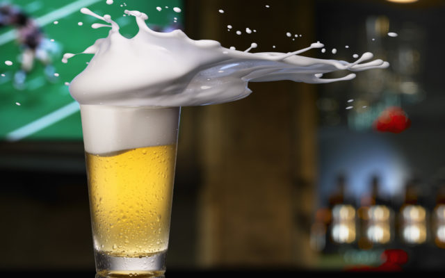 Canton Township Bar Keeps Its Liquor License