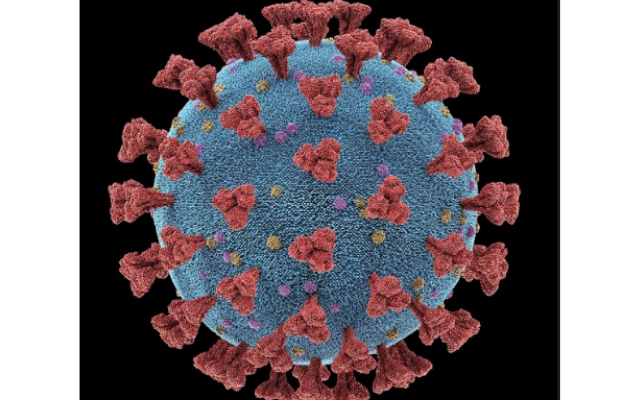 Alliance Health: Stark Records 3rd Coronavirus Death