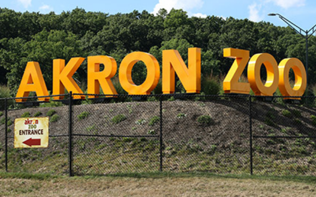 Back in Business: Akron Zoo Reopens Wednesday