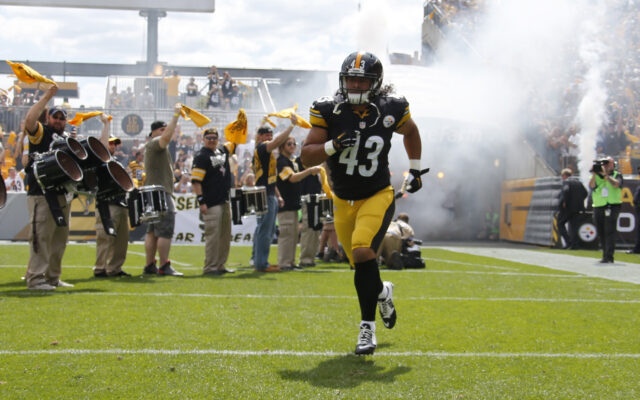 Troy Polamalu Tests Positive for Covid; Still Hopes to be at Enshrinement