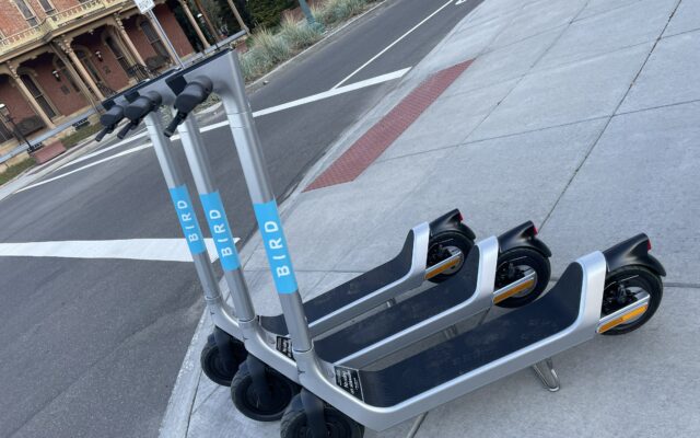 The “Bird” Scooters have Landed in Downtown Canton!  PHOTOS Inside