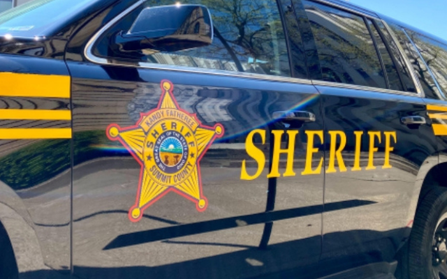 Summit Deputy Critical, Hit by Truck While Directing Blossom Traffic