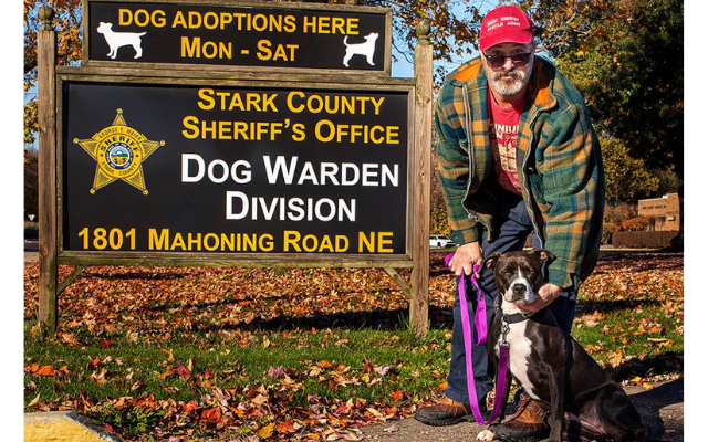 Stark Dog Pound Full, Adopters Welcome