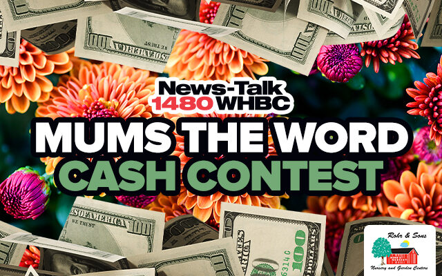 ENTER THE “MUMS THE WORD” CASH WORDS HERE