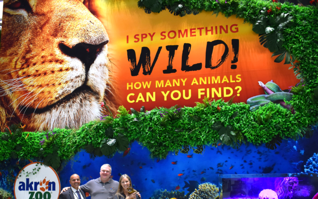 The Zoo Comes to CAK – A Partnership is Born