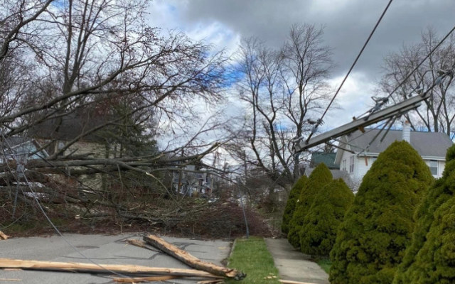 Strong, Persistent Winds Take Out Power, Stark Full Restoration on Wednesday