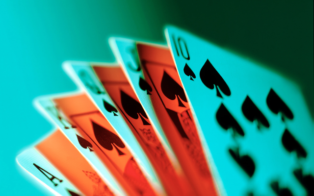 Survey Says: Spades Top Card Game for Holiday Play