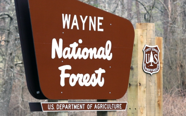 Controlled Burns Set in Ohio’s National Forest