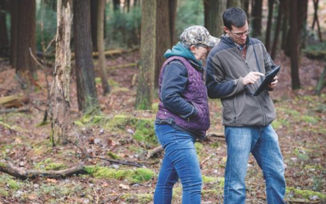 Family Forest Carbon Program Now in Ohio, Keeps Wooded Areas Viable