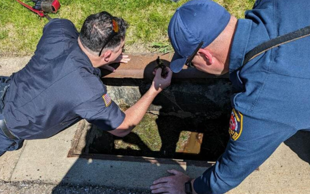 Plain Firefighters Rescue Ducklings from Storm Drain